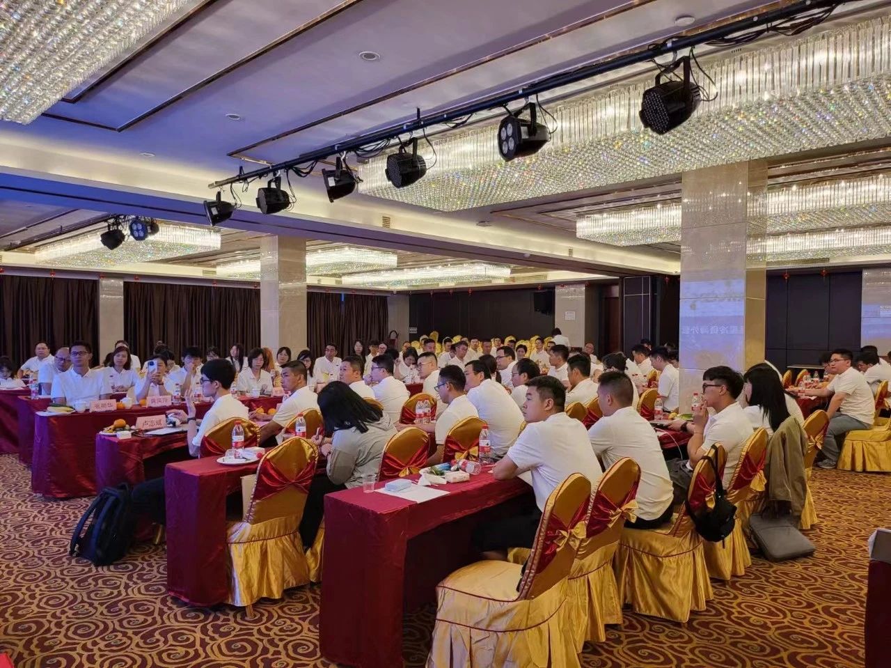 1723099693859559.jpg 1.jpg